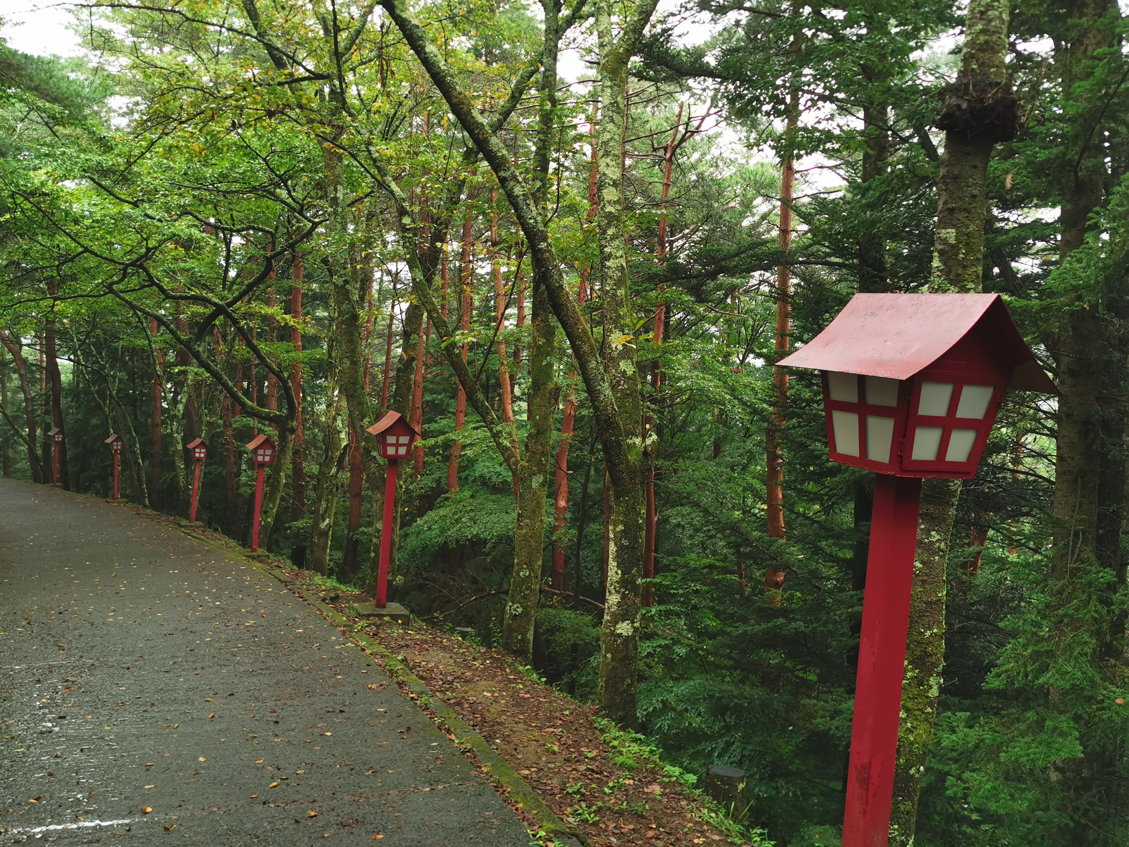 בדרך לפגודה