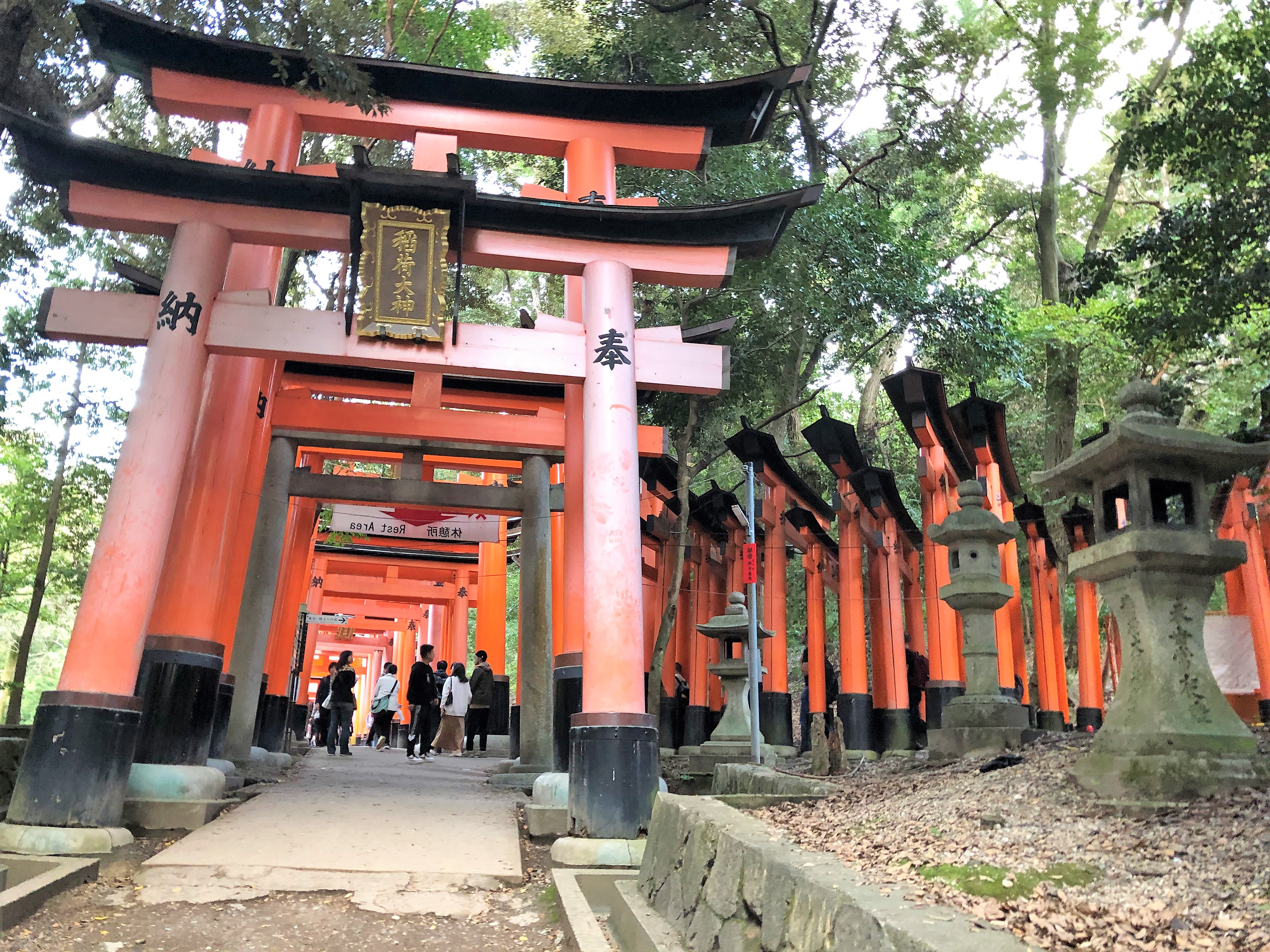 טורי בפושימי