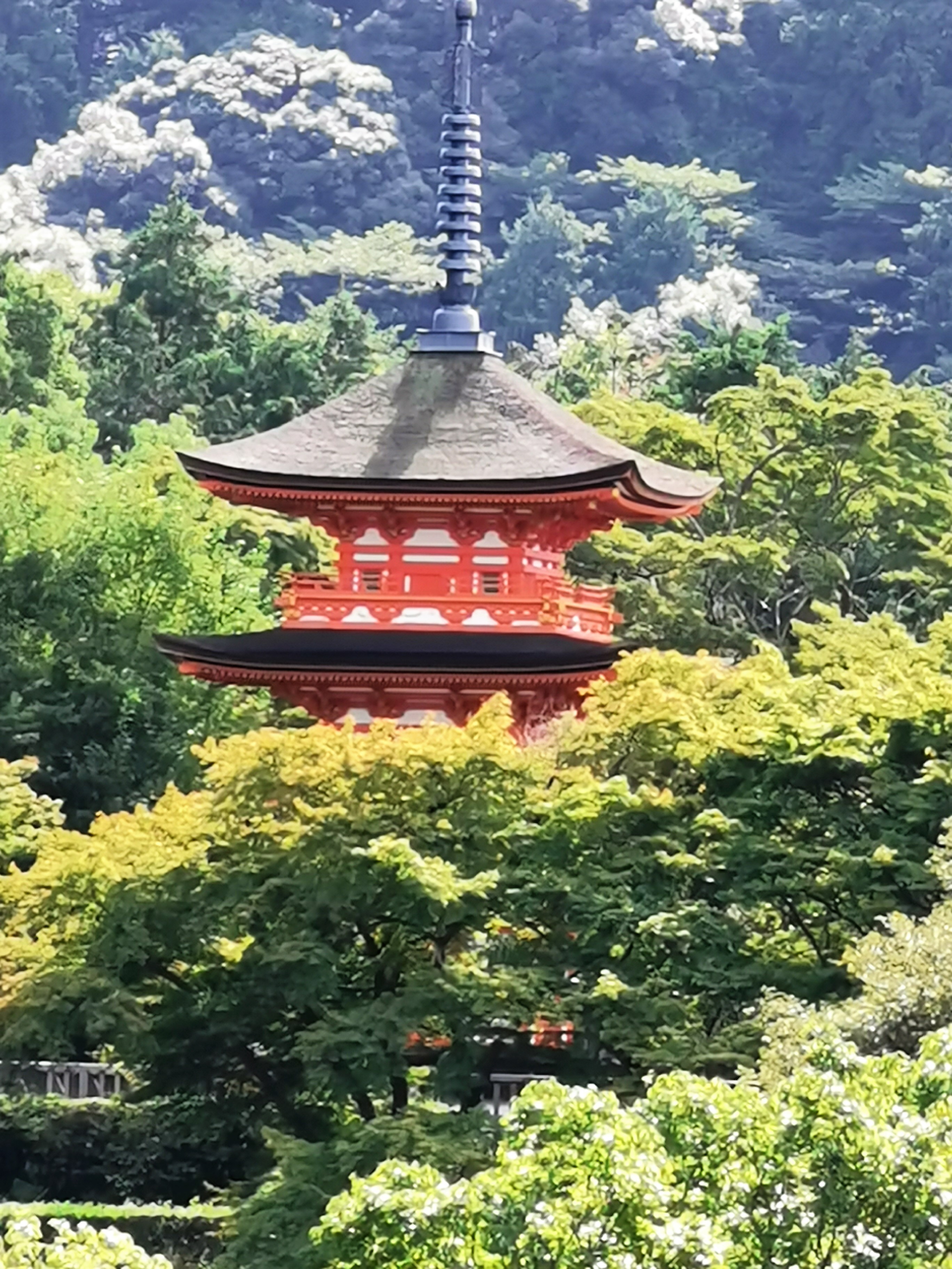 פגודה בהרים