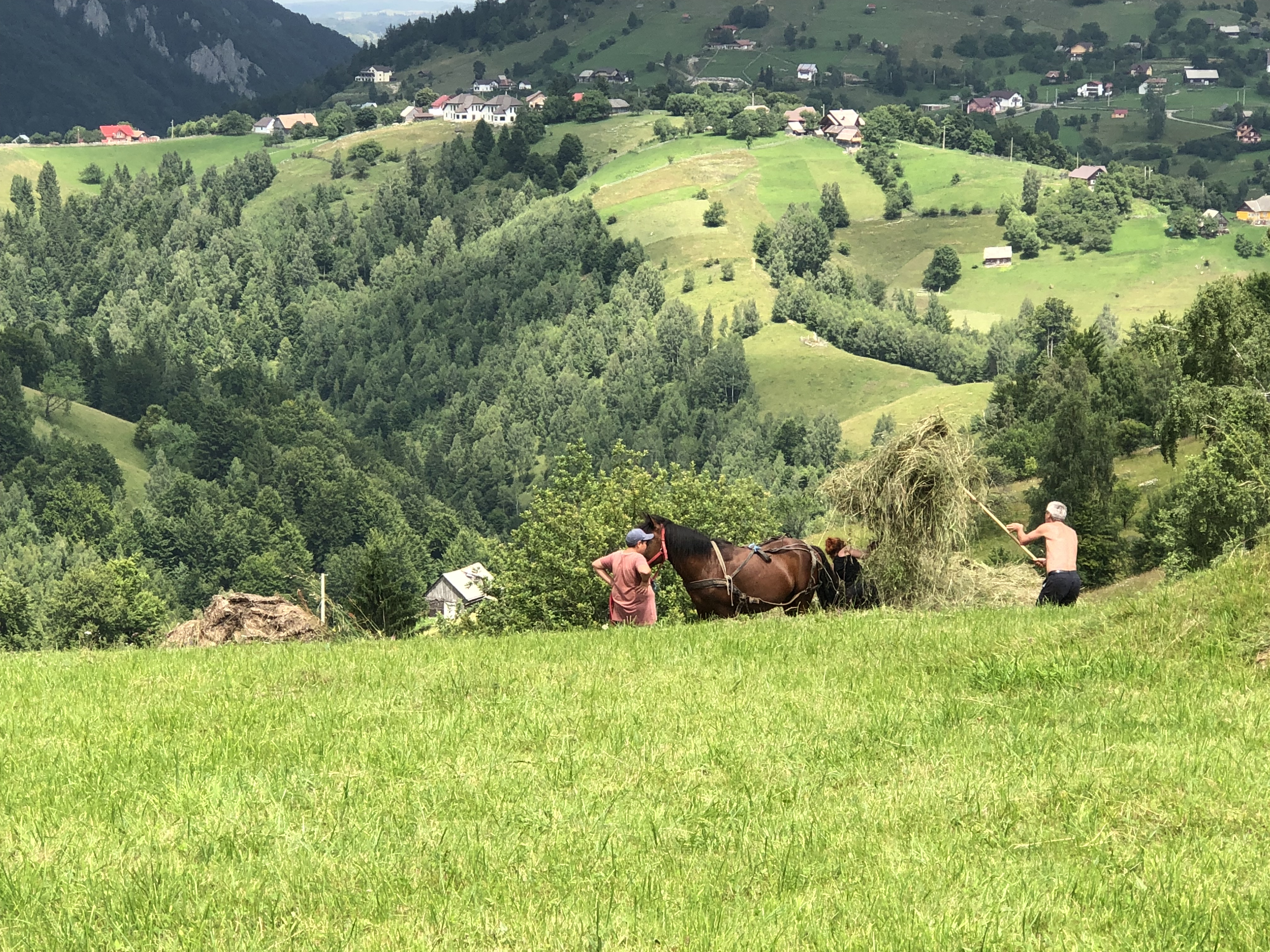 חקלאות מסורתית