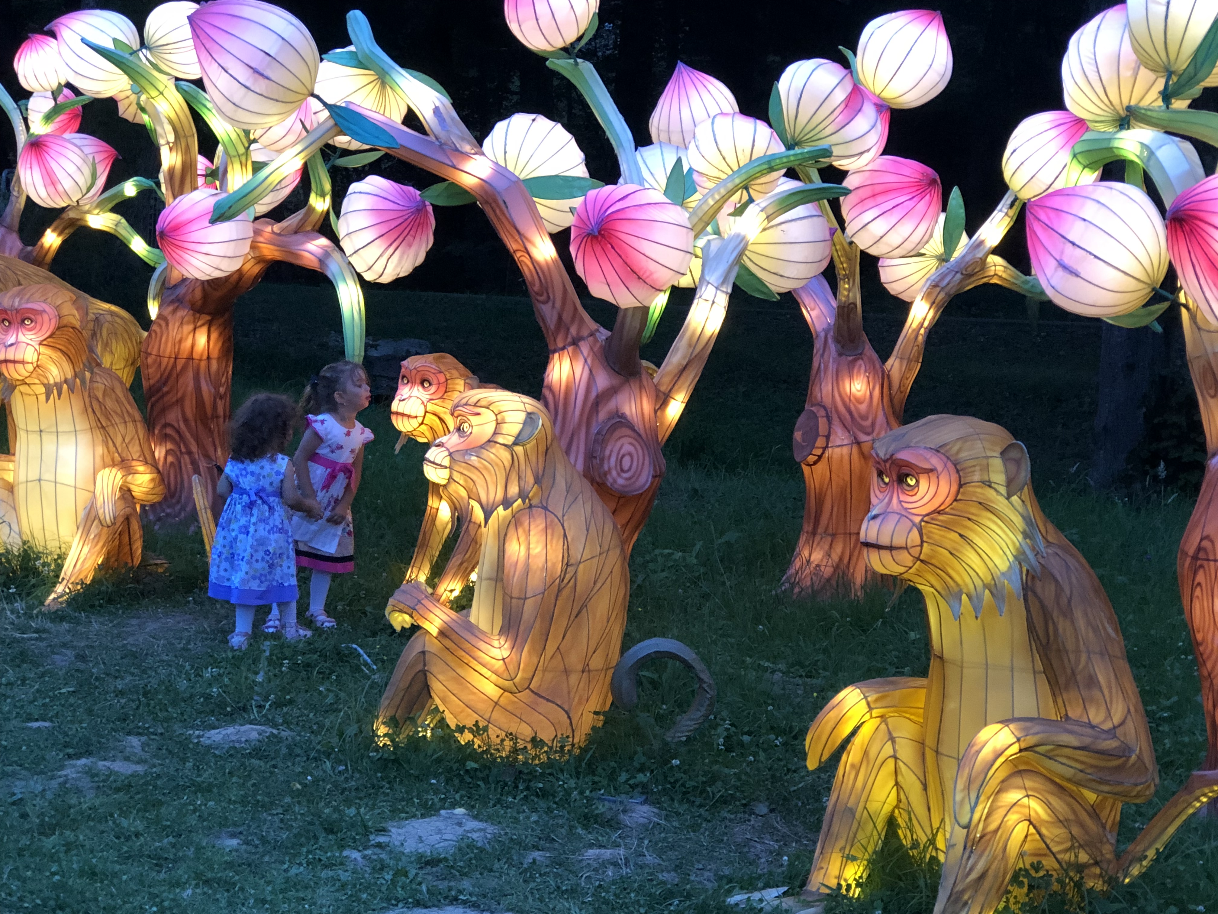 ילדים וקופים