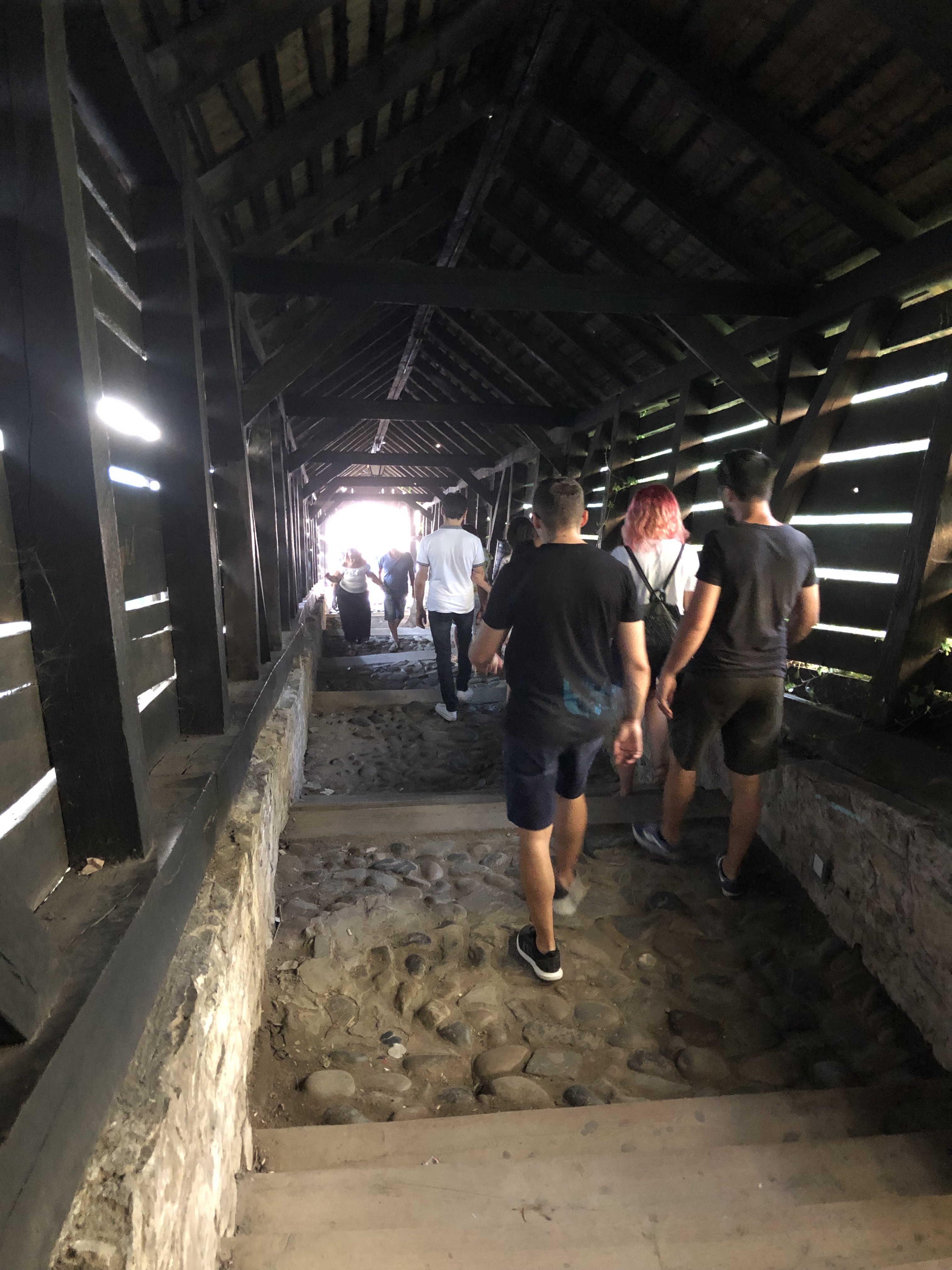 מדרגות במלומדים