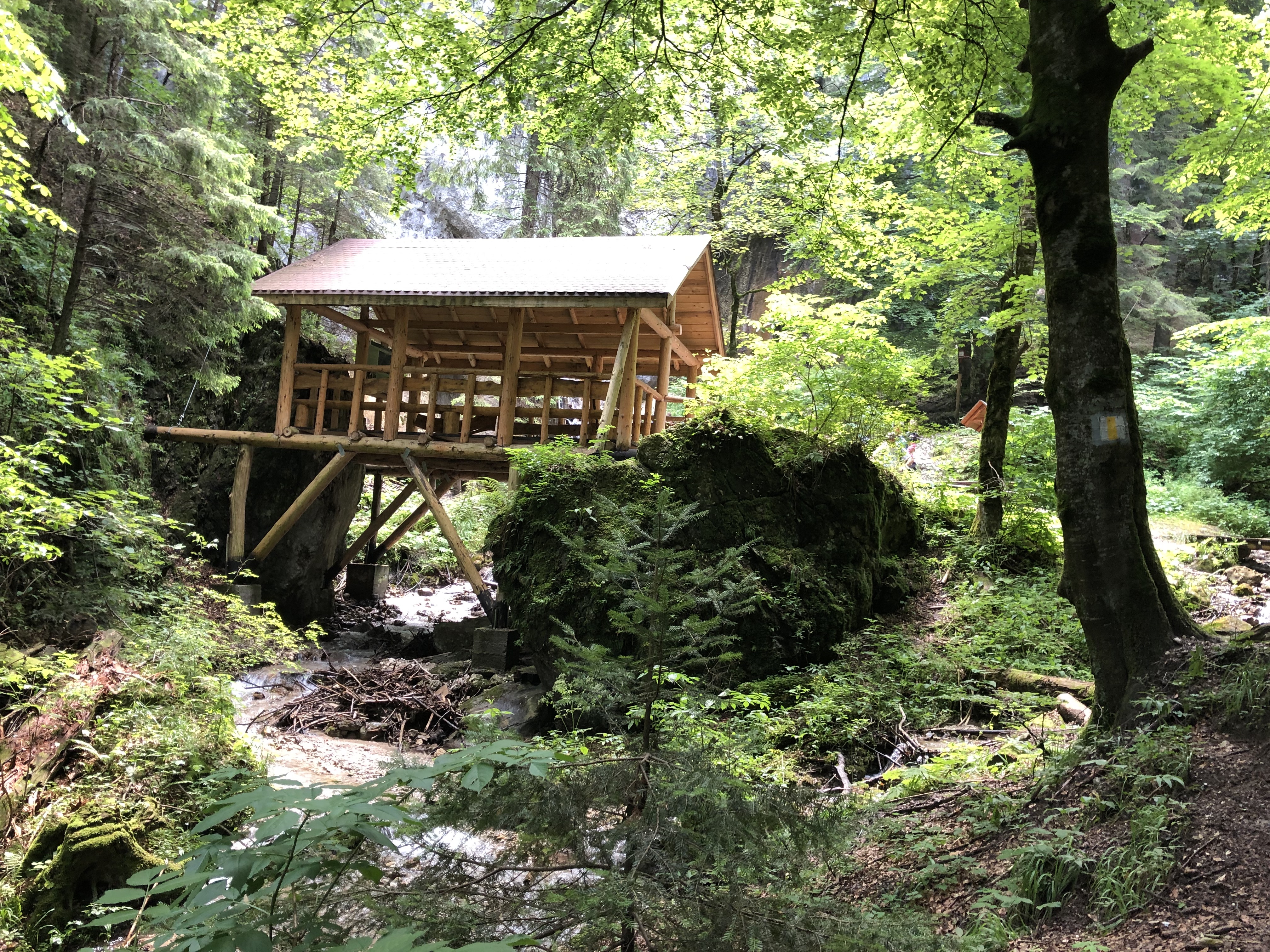 עקבו אחרי הסימון הצהוב