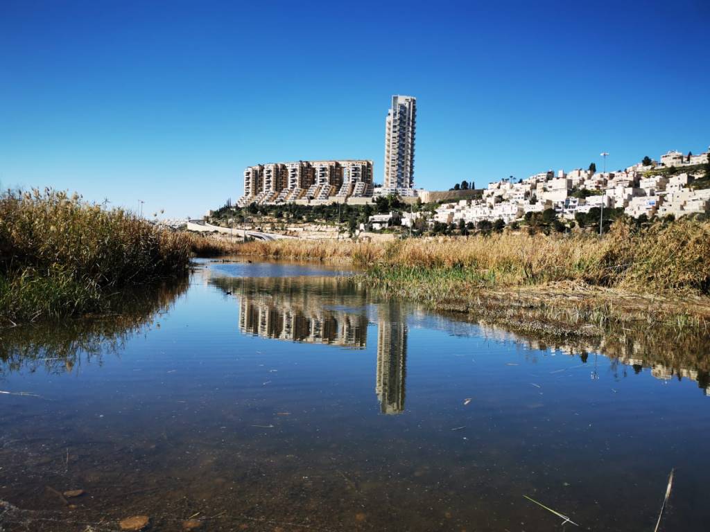 חסר מאפיין alt לתמונה הזו; שם הקובץ הוא blrk2498.jpg